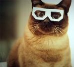 Lietotāja sīkbilde