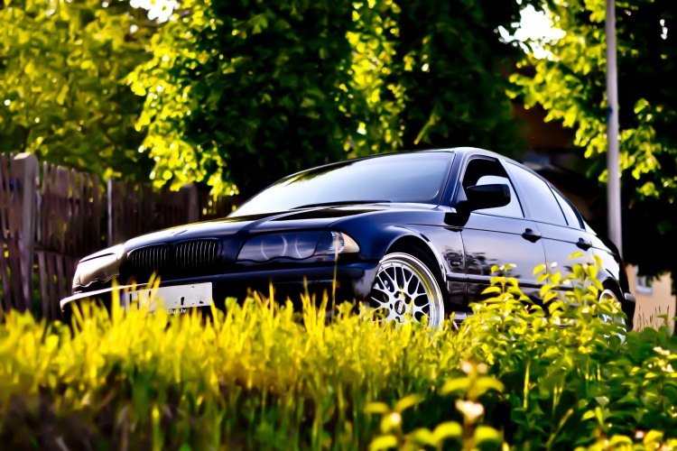 dsc_2264.jpg