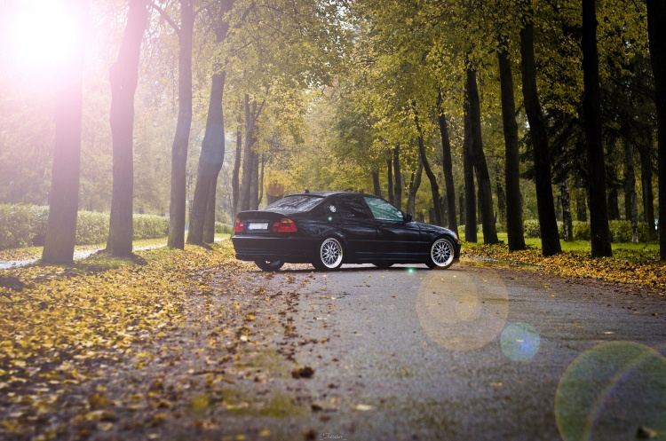 dsc_3708k.jpg