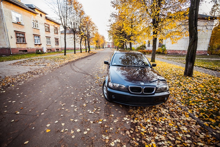 Uzspiediet lai redzētu oriģinālizmēru 20121020-edw-0022_900.jpg