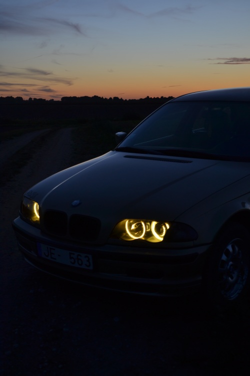 dsc_0279.jpg